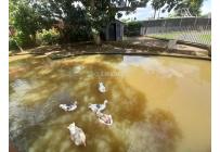 Lotes, Venta, Jamundí - $155.000.000