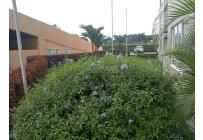Apartamentos, Alquiler, Palmira - $3.300.000
