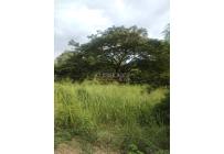 Lotes, Venta, Buga - $240.000.000
