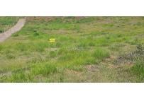 Lotes, Venta, La Cumbre - $122.500.000