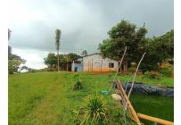 Fincas y Casas Campestres, Venta, Vijes - $750.000.000