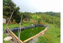 Fincas y Casas Campestres, Venta, Vijes - $750.000.000