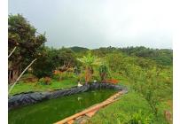 Fincas y Casas Campestres, Venta, Vijes - $750.000.000
