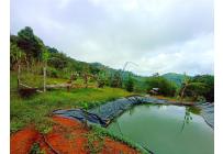 Fincas y Casas Campestres, Venta, Vijes - $750.000.000