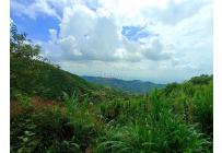 Fincas y Casas Campestres, Venta, Vijes - $750.000.000