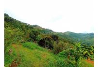 Fincas y Casas Campestres, Venta, Vijes - $750.000.000