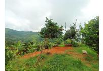 Fincas y Casas Campestres, Venta, Vijes - $750.000.000