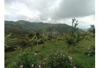 Fincas y Casas Campestres, Venta, Vijes - $750.000.000