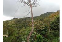 Fincas y Casas Campestres, Venta, Vijes - $750.000.000