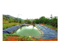 Fincas y Casas Campestres, Venta, Vijes - $750.000.000