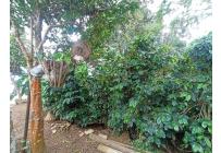 Fincas y Casas Campestres, Venta, Vijes - $750.000.000