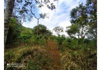 Fincas y Casas Campestres, Venta, Vijes - $750.000.000