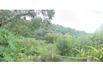 Apartaestudios, Alquiler, Pance - $1.200.000