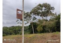 Lotes, Venta, Pance - $990.000.000