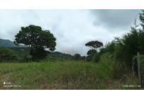 Lotes, Venta, Pance - $990.000.000