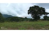 Lotes, Venta, Pance - $990.000.000