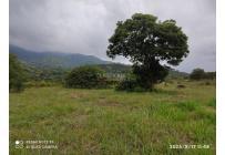 Lotes, Venta, Pance - $990.000.000