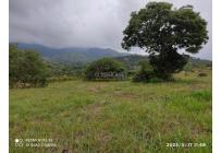 Lotes, Venta, Pance - $990.000.000