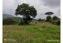 Lotes, Venta, Pance - $990.000.000