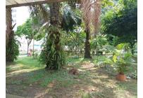 Locales y Bodegas, Alquiler, Caney - $800.000