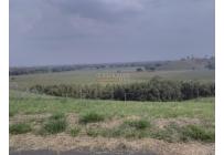 Lotes, Venta, Jamundí - $230.000.000