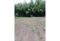 Lotes, Venta, Pereira - $280.000.000