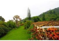 Fincas y Casas Campestres, Venta, Pie de Cuesta - $3.300.000.000