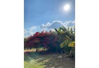 Fincas y Casas Campestres, Venta, Pie de Cuesta - $3.300.000.000