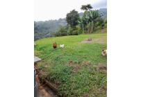 Fincas y Casas Campestres, Venta, Buga - $180.000.000