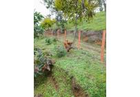 Fincas y Casas Campestres, Venta, Buga - $180.000.000
