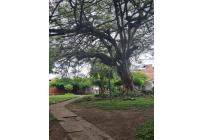 Casas, Venta, Palmira - $240.000.000