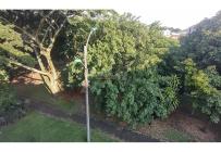 Apartamentos, Venta, Santa Anita - $309.000.000