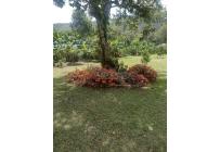 Fincas y Casas Campestres, Venta, La Cumbre - $1.150.000.000