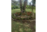 Fincas y Casas Campestres, Venta, La Cumbre - $1.150.000.000