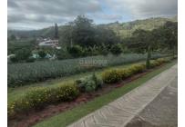 Fincas y Casas Campestres, Venta, La Cumbre - $1.150.000.000