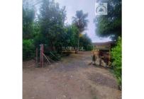 Fincas y Casas Campestres, Venta, Candelaria - $300.000.000