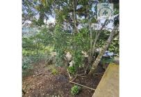 Fincas y Casas Campestres, Venta, La Cumbre - $280.000.000