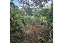 Fincas y Casas Campestres, Venta, La Cumbre - $280.000.000