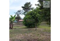 Fincas y Casas Campestres, Venta, Calima (Darién) - $700.000.000