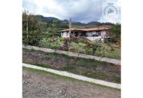 Fincas y Casas Campestres, Venta, Calima (Darién) - $700.000.000