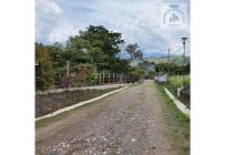 Fincas y Casas Campestres, Venta, Calima (Darién) - $700.000.000