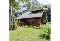 Fincas y Casas Campestres, Venta, La Cumbre - $550.000.000