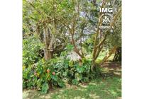 Fincas y Casas Campestres, Venta, La Cumbre - $550.000.000