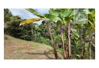Fincas y Casas Campestres, Venta, La Cumbre - $320.000.000