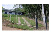 Fincas y Casas Campestres, Venta, Calima (Darién) - $450.000.000