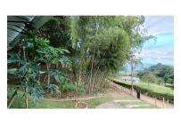 Fincas y Casas Campestres, Venta, Calima (Darién) - $450.000.000