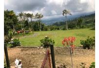 Fincas y Casas Campestres, Venta, Calima (Darién) - $2.200.000.000
