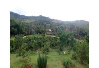 Fincas y Casas Campestres, Venta, Dagua - $510.000.000