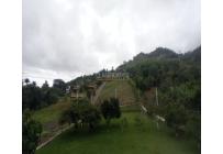 Fincas y Casas Campestres, Venta, Dagua - $510.000.000