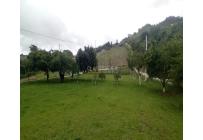 Fincas y Casas Campestres, Venta, Dagua - $510.000.000
